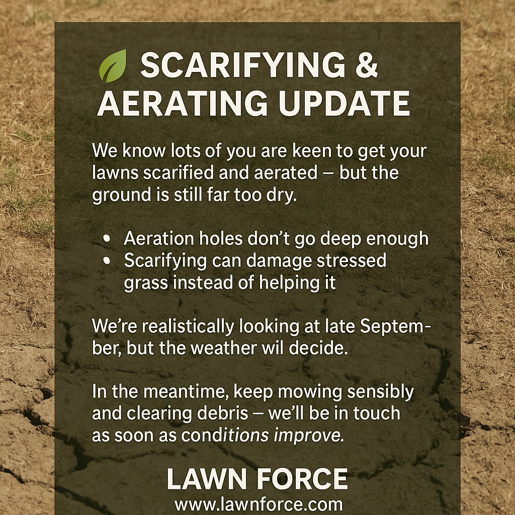 Lawn Force update: Scarifying and aerating delayed due to dry ground. Suggests late September, keep mowing.