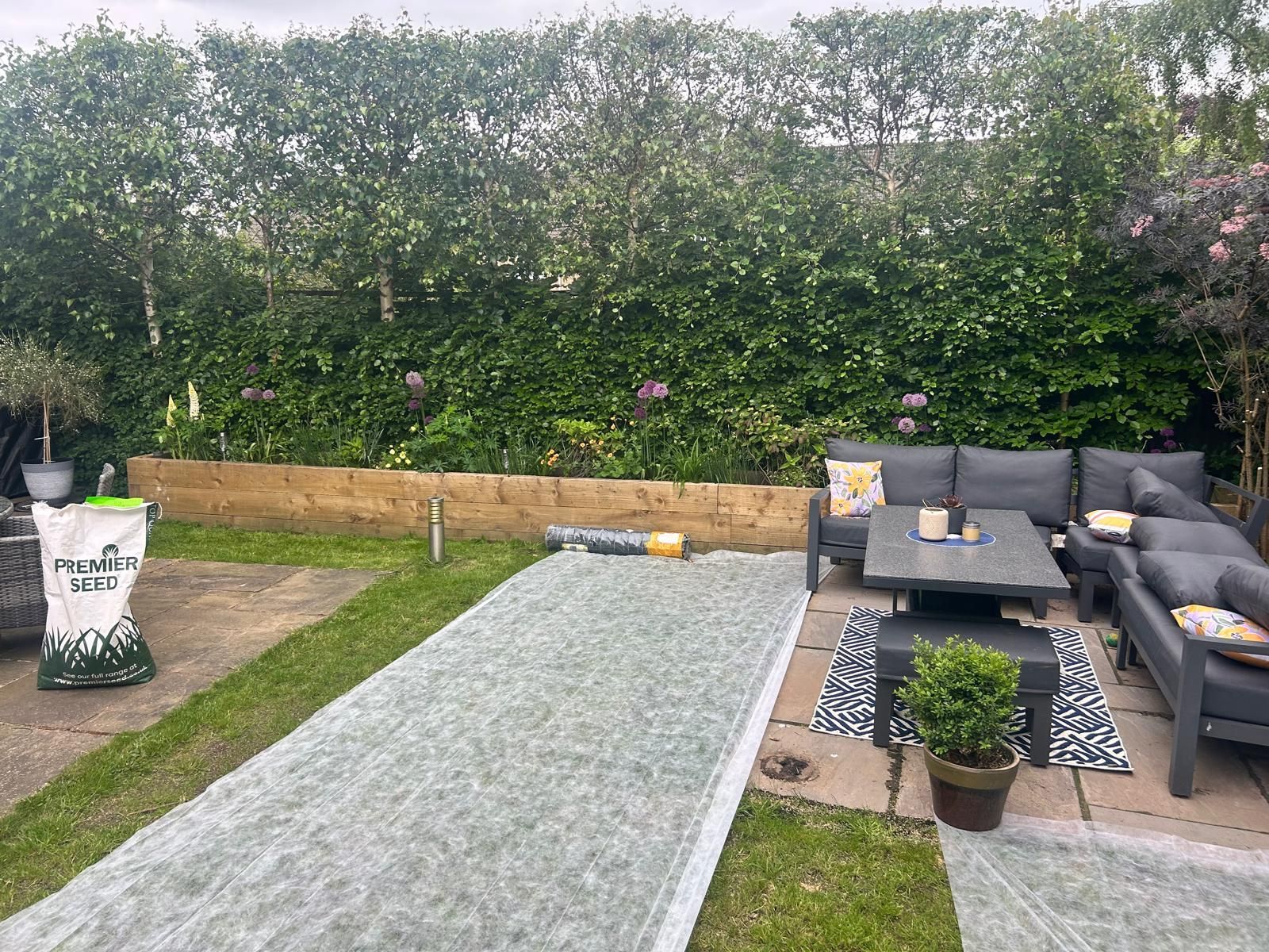 Backyard with outdoor seating, grass, and a mat rolled out on the ground, trees and bushes in the background.