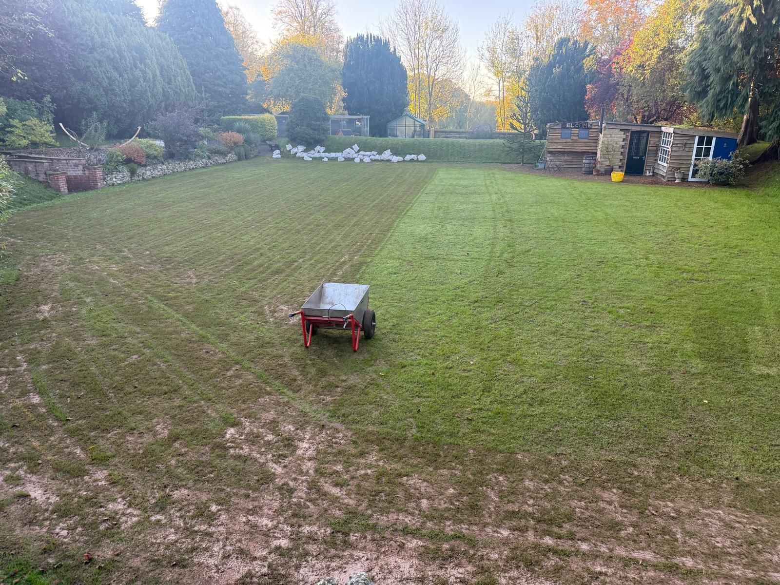 A partially mowed lawn with a wheelbarrow in the middle, trees in the background, and a shed on the right.