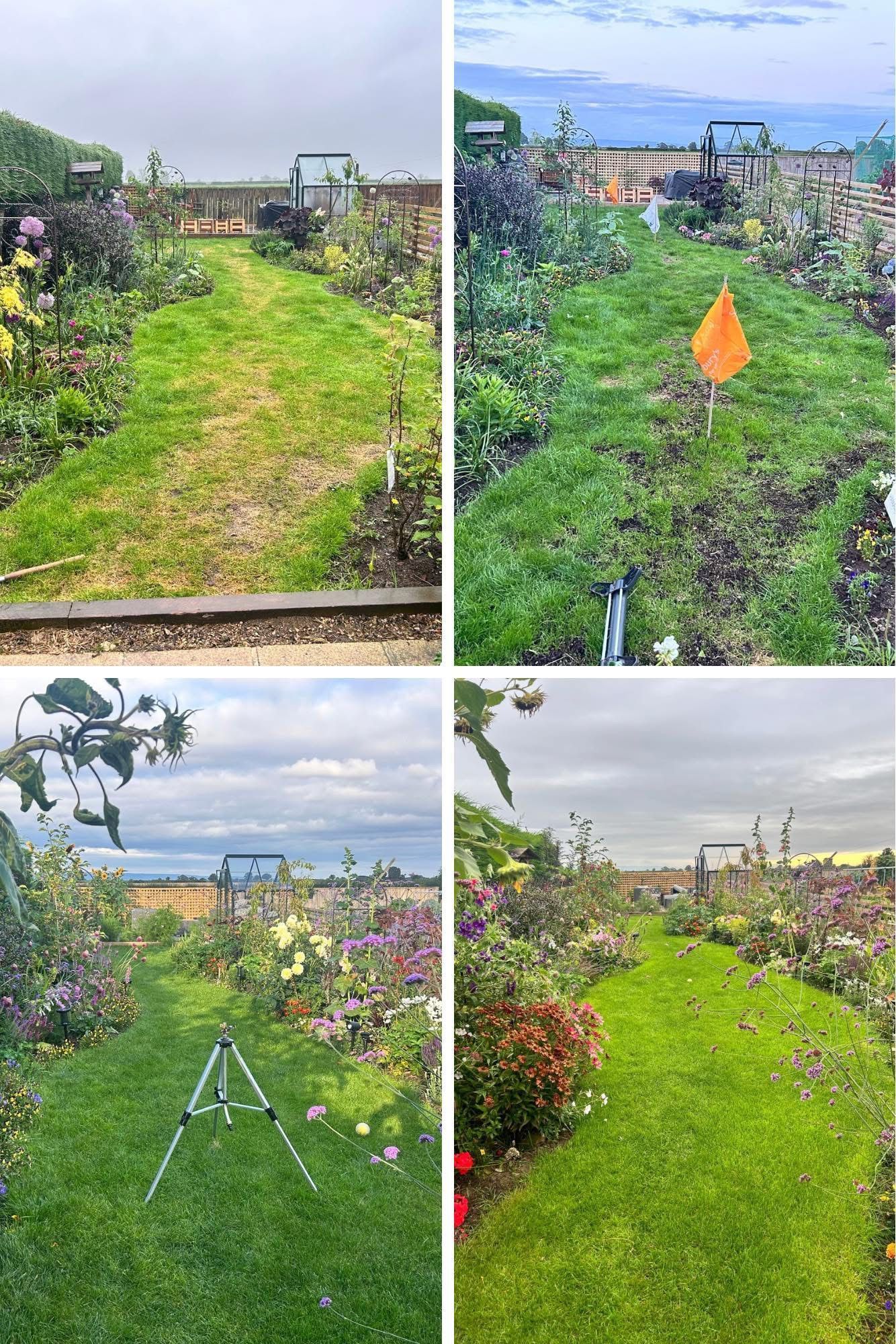 Four views of a garden path with varied sky conditions and flowering plants.