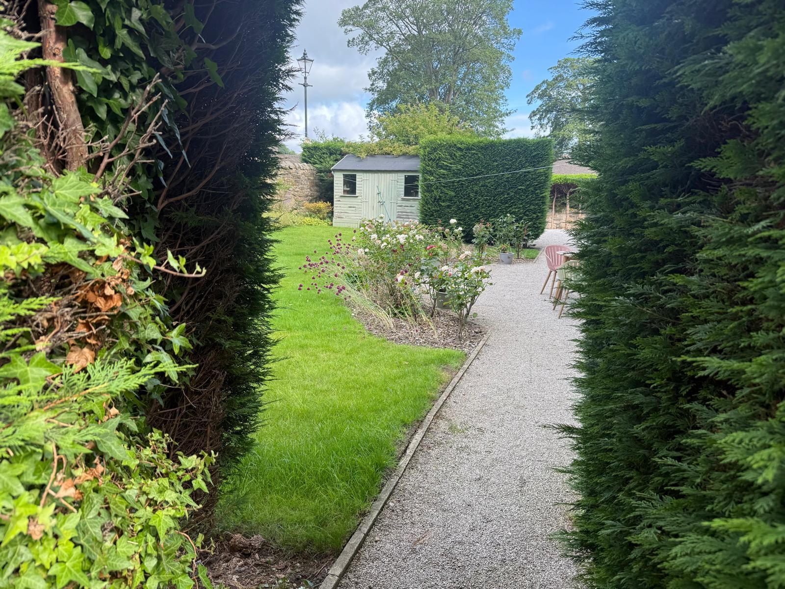 A gravel path leads through a garden with a grassy area, rose bushes, and a small shed in the distance, framed by hedges.