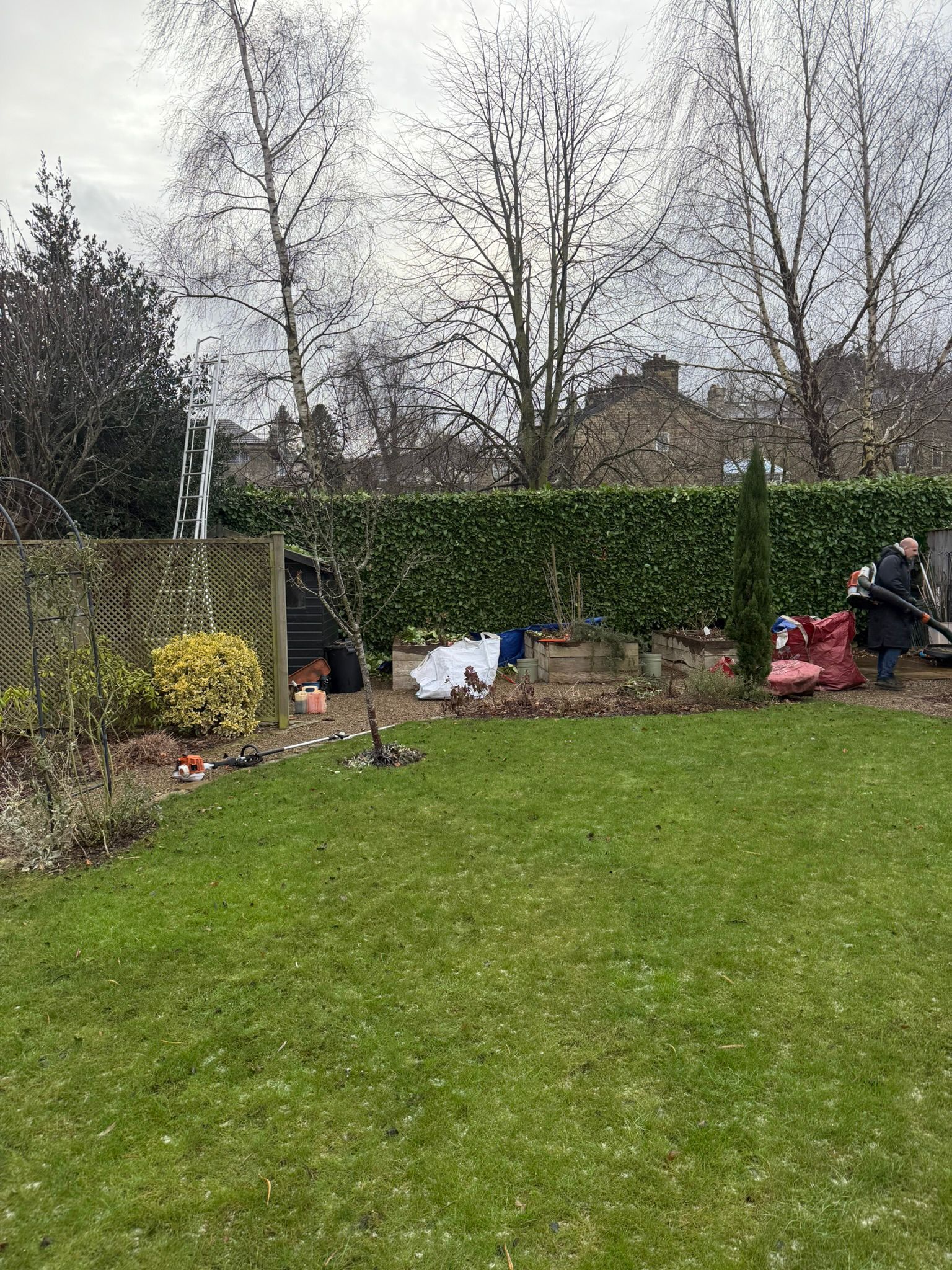 Backyard with green grass, shrubs, trees, and a wooden fence; cloudy sky.
