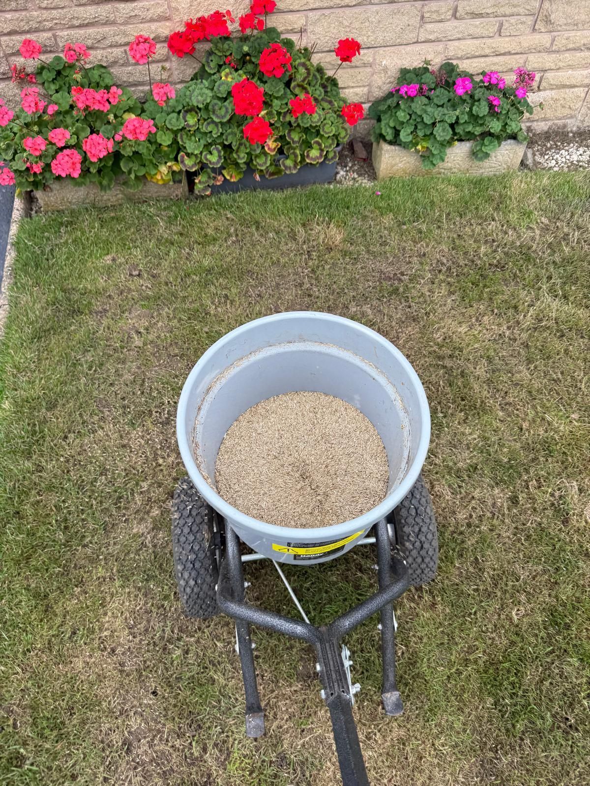 A spreader filled with granules on a lawn, flowers in pots in the background.