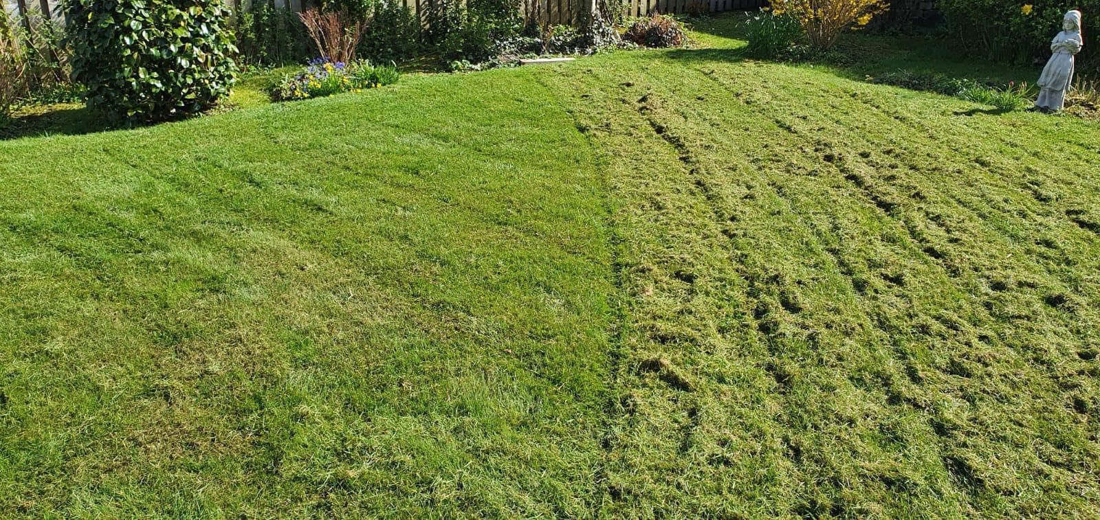 A lawn, half-mowed, shows a comparison of freshly cut grass versus uncut grass.