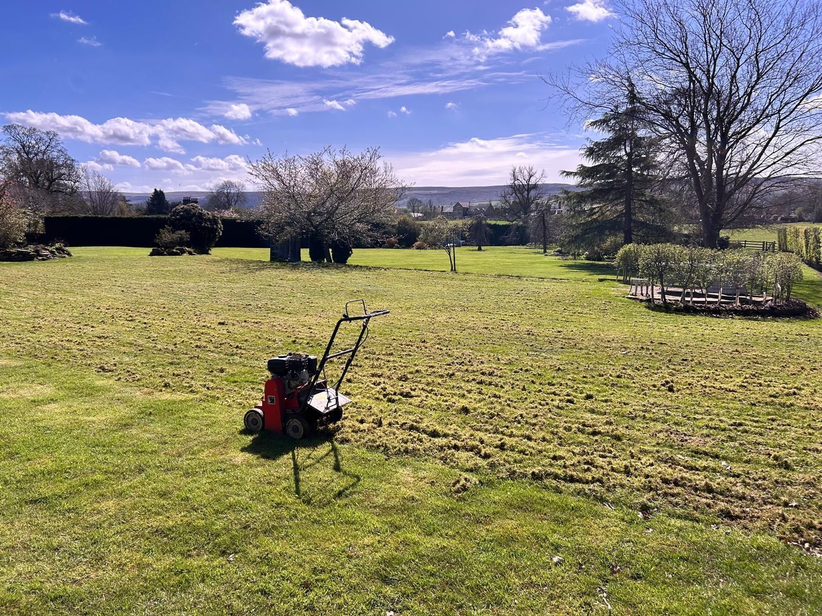 Lawn scarifier on grassy yard, with trees, blue sky, and a distant view of houses.