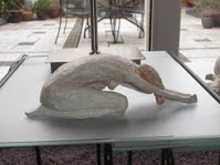 Oefening Keramisch Beeld