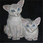 Siameze Poesen - Keramieke Kunst