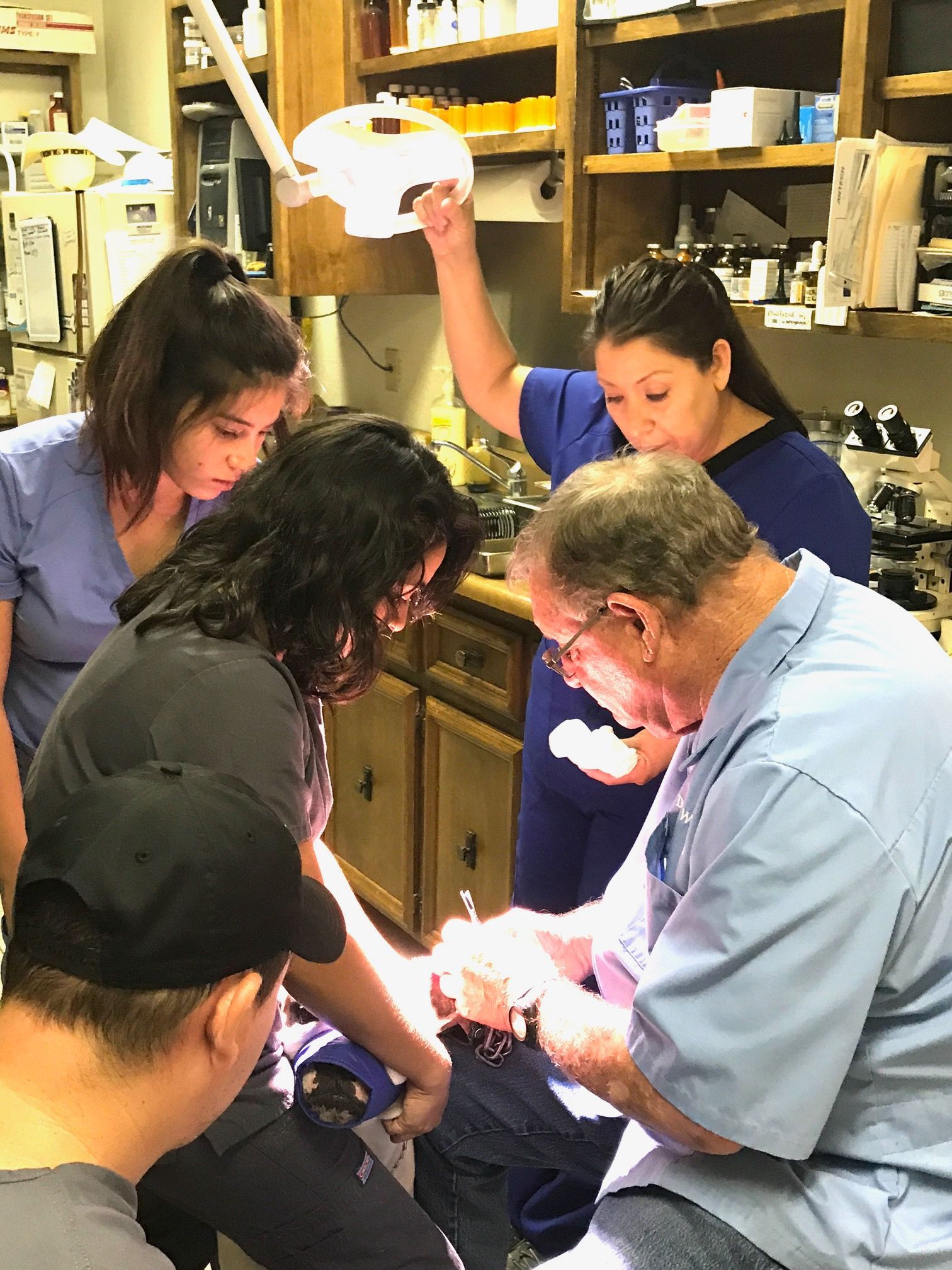 Veterinarian El Paso, TX America’s Animal Clinic