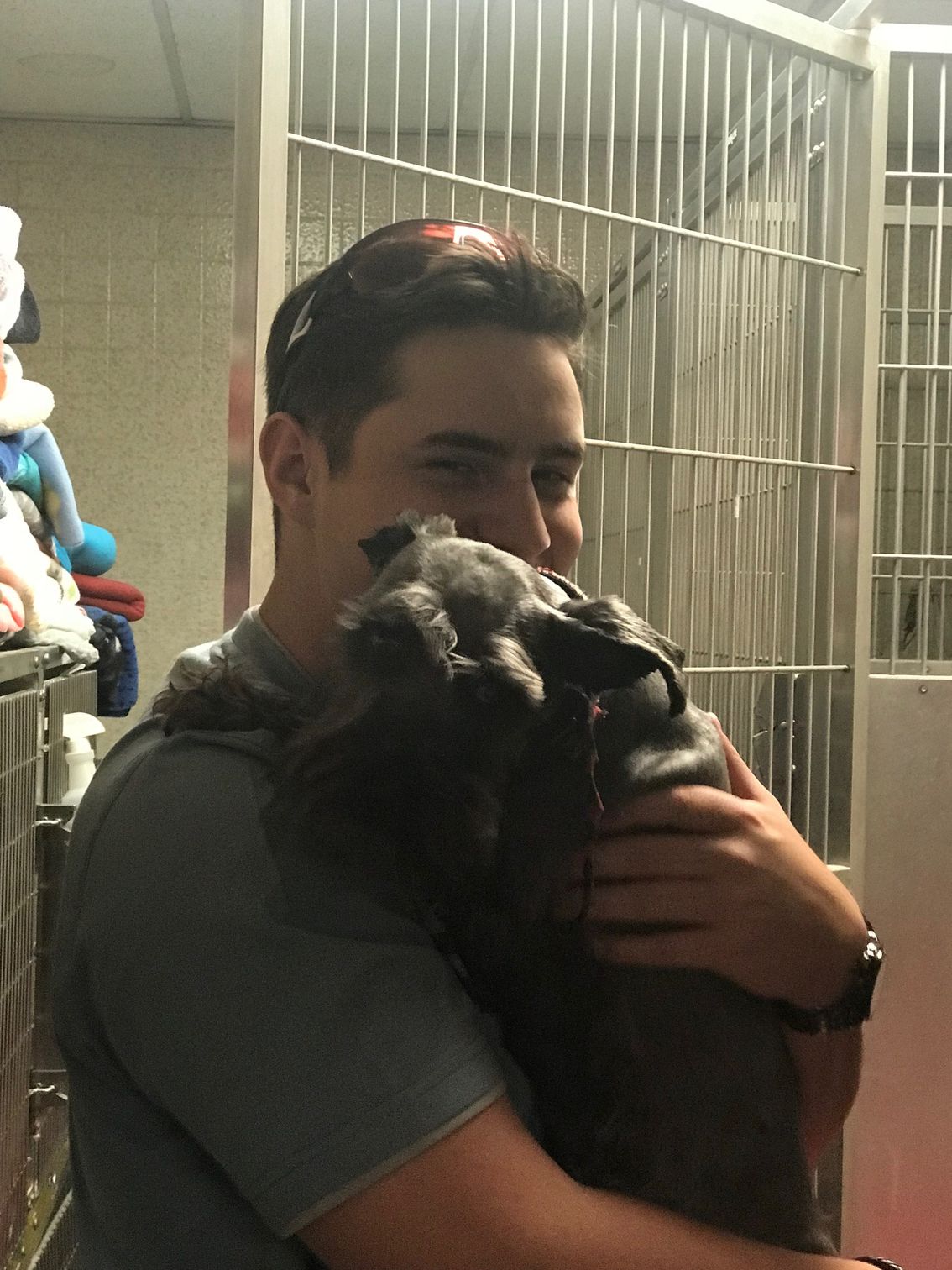 Veterinarian El Paso, TX America’s Animal Clinic