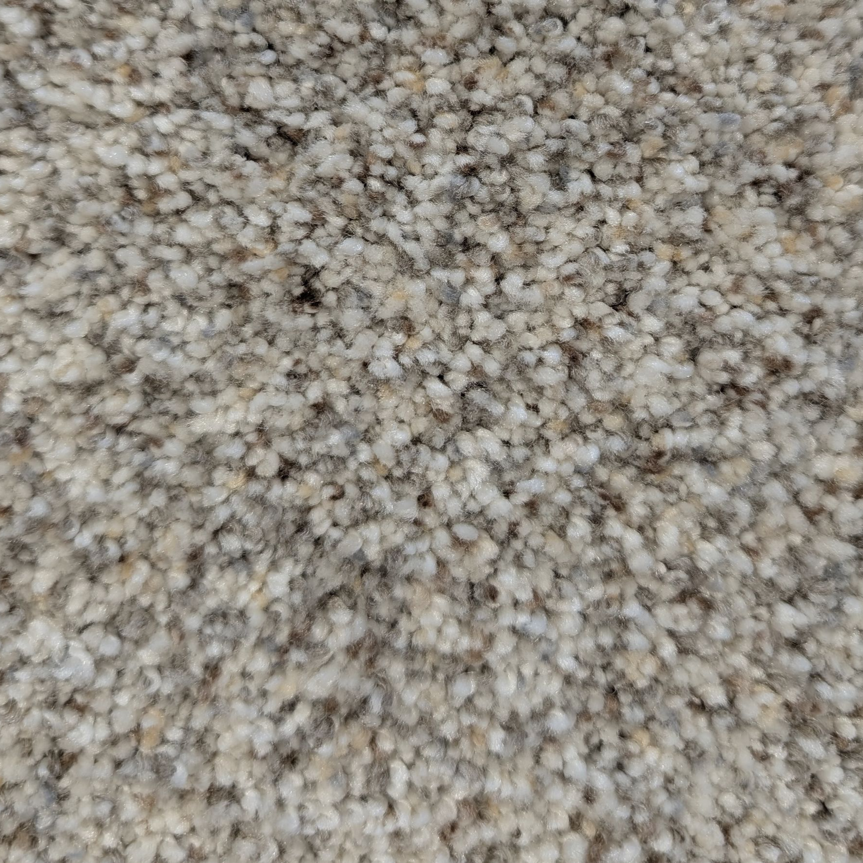 A close up of a gray carpet texture.