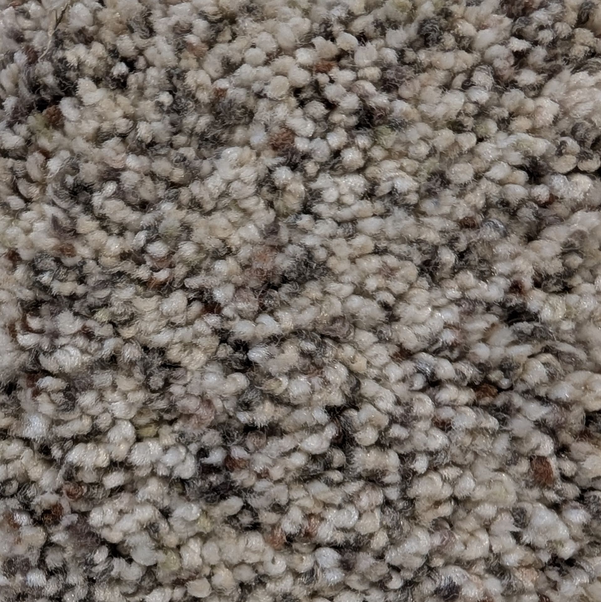 Close-up of textured carpet in varying shades of beige and brown.