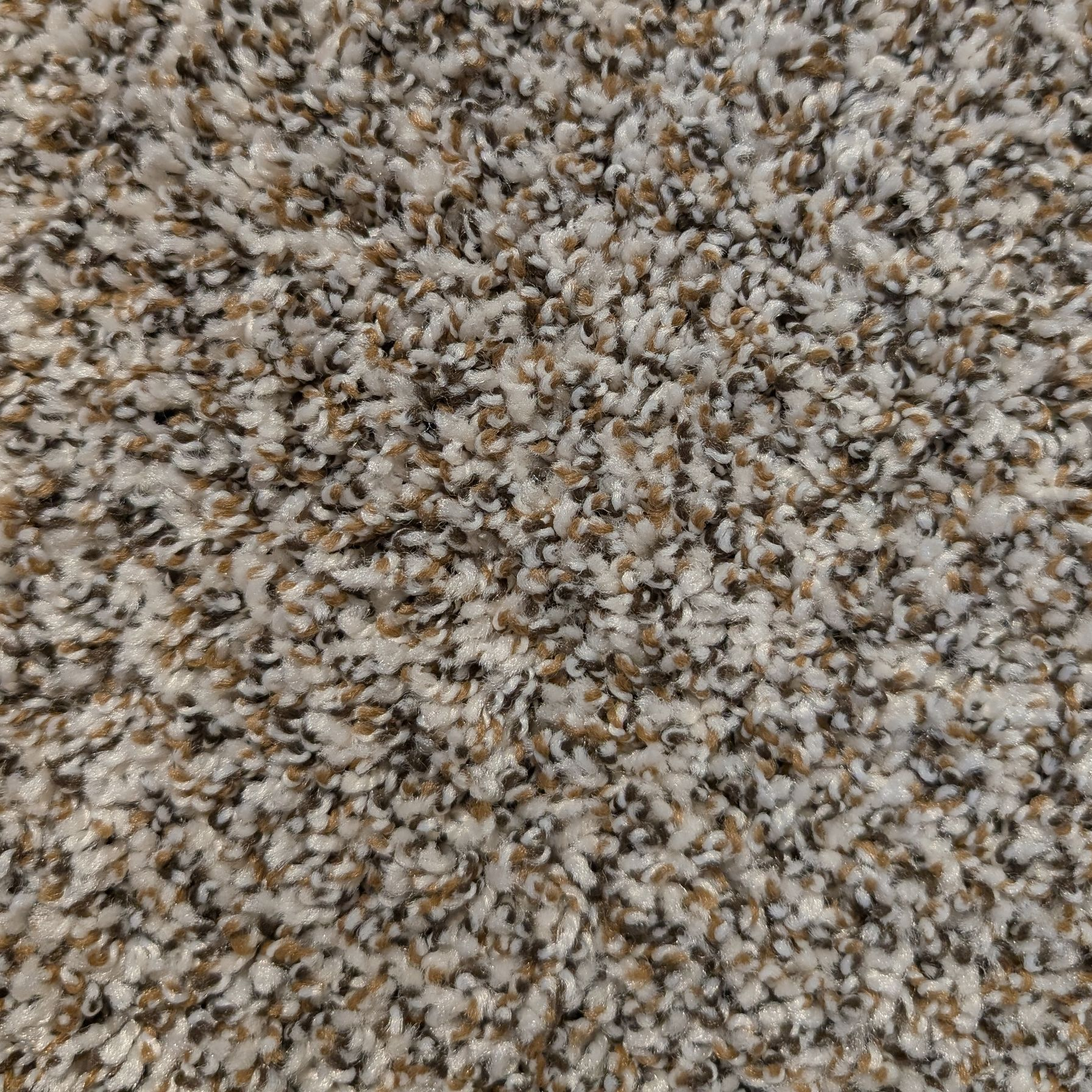 A close up of a beige carpet texture.
