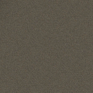 A close up of a gray carpet texture.