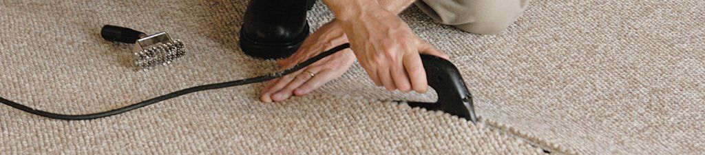 A person is cleaning a carpet with a vacuum cleaner.