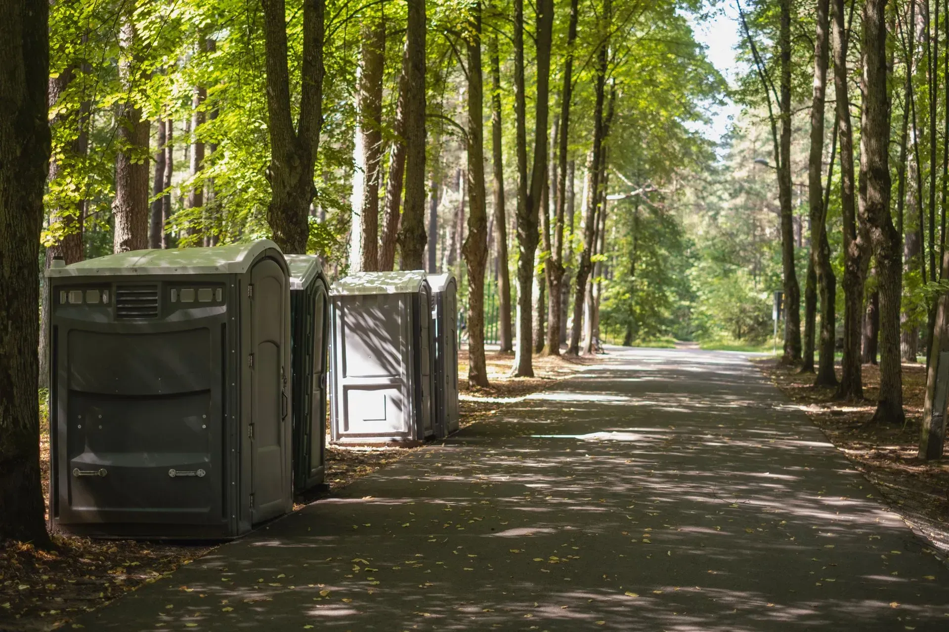 A row of portable toilets are lined up on the side of a road in the woods.