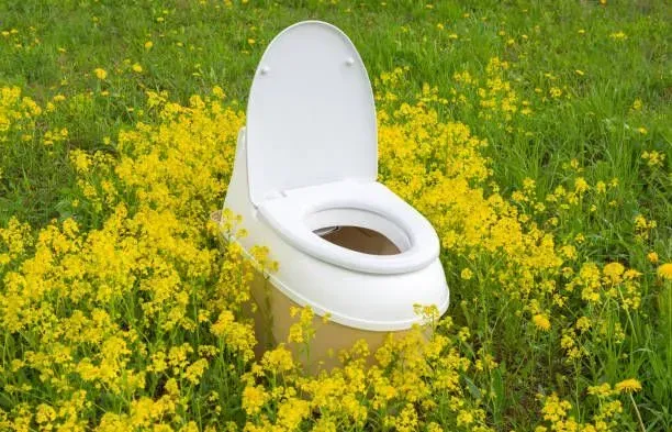 A toilet is sitting in the middle of a field of yellow flowers.