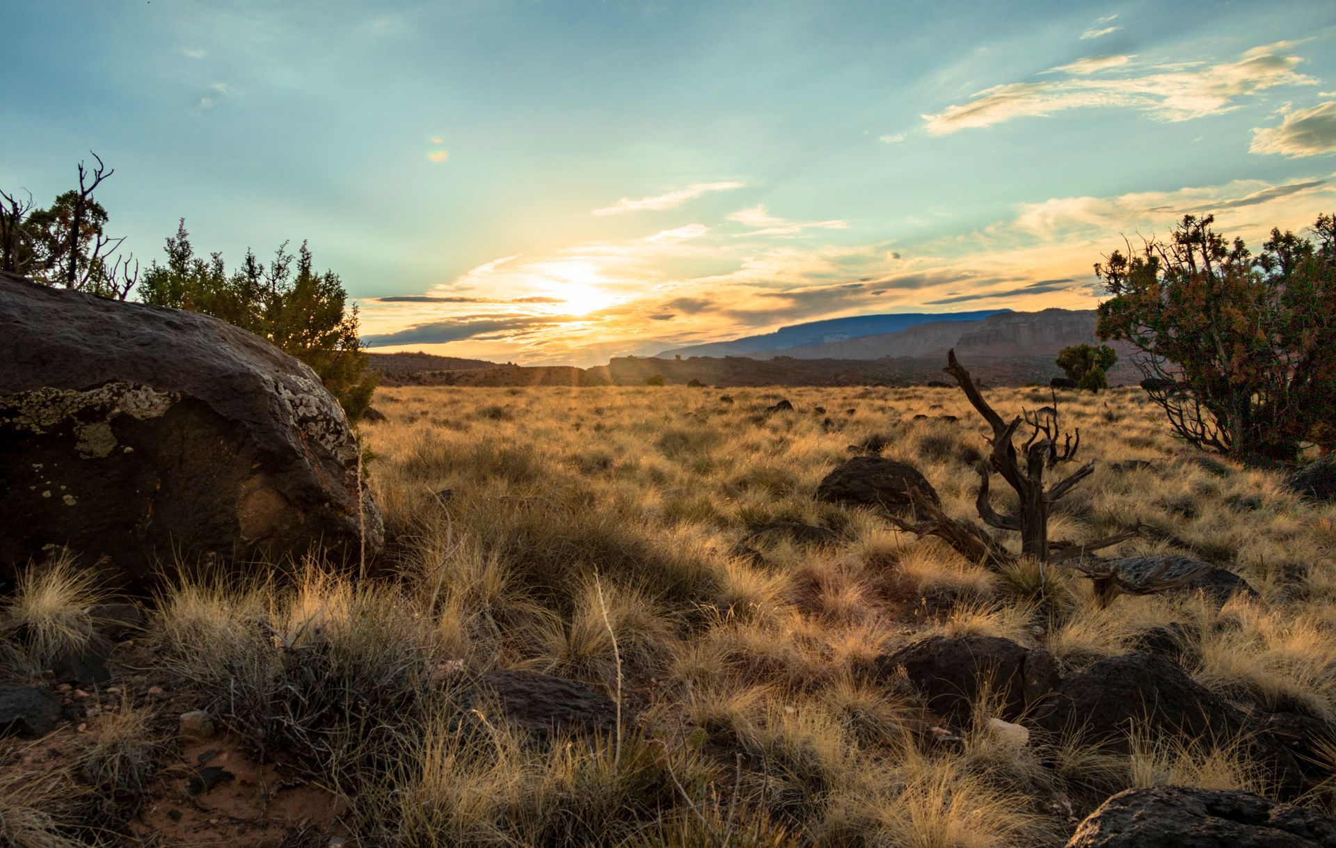 The sun is setting over a desert landscape with trees and rocks.