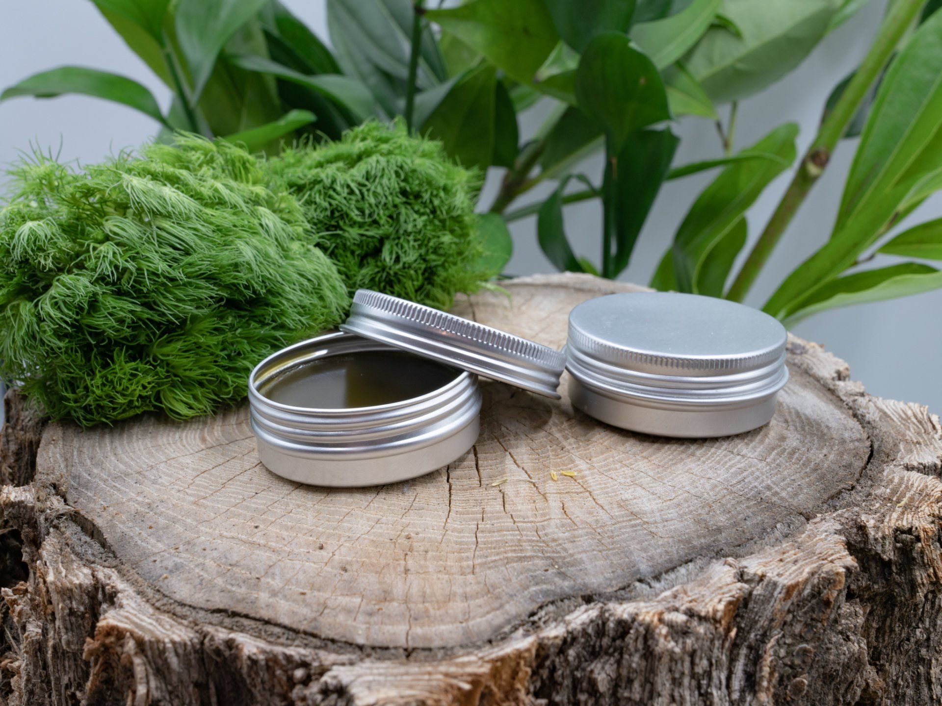 Two metal tins are sitting on top of a wooden stump.