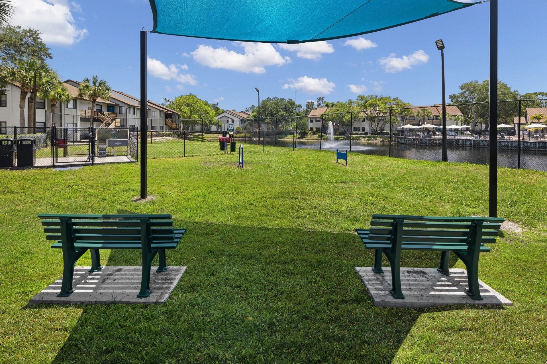 Grass field | City Harbor