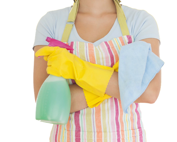 About The Cleaning Specialists LLC in Cape Coral, FL
