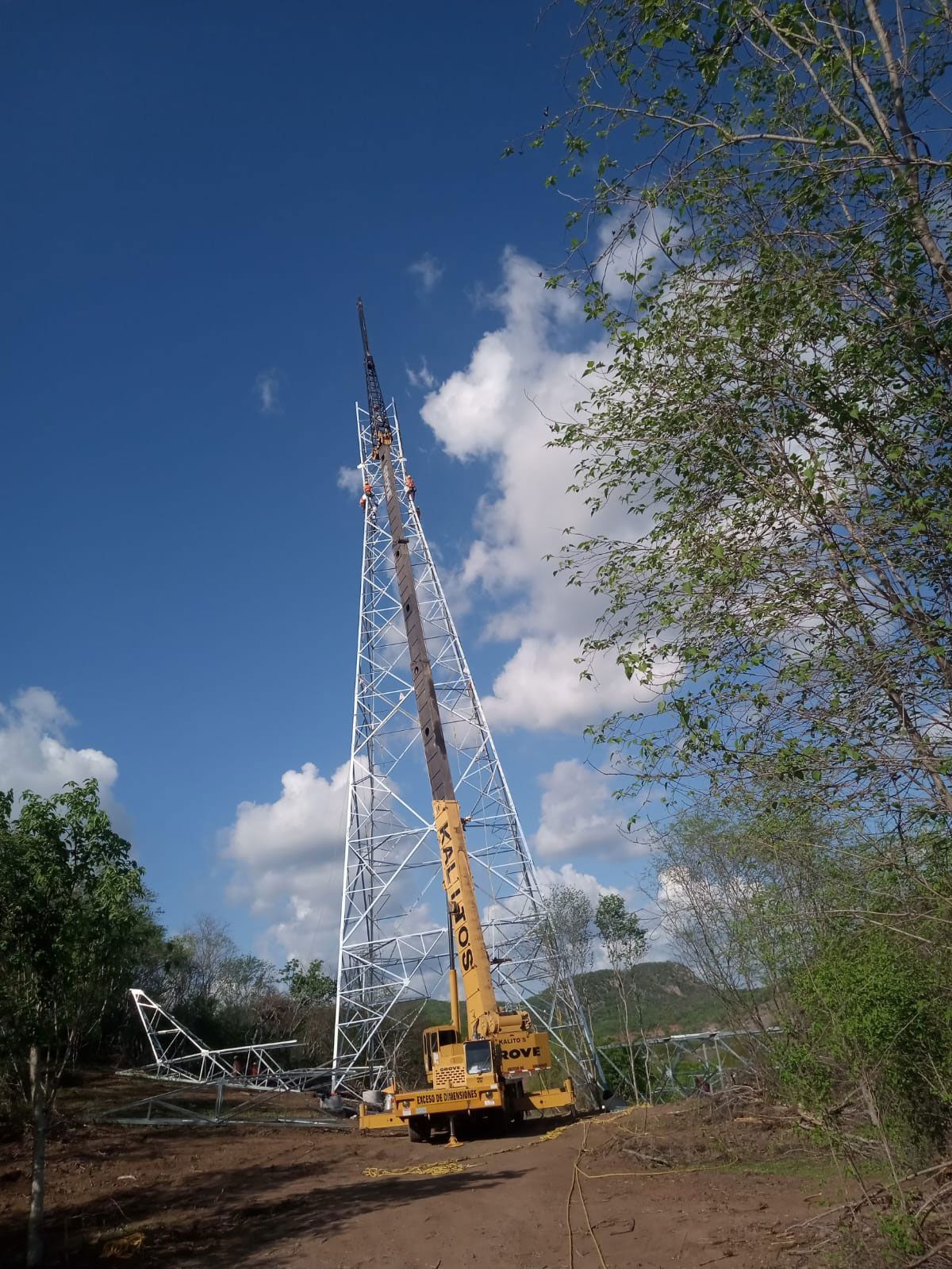 renta de grúas industriales