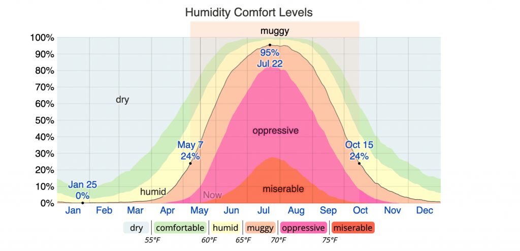 High Humidity Causes Mold Growth