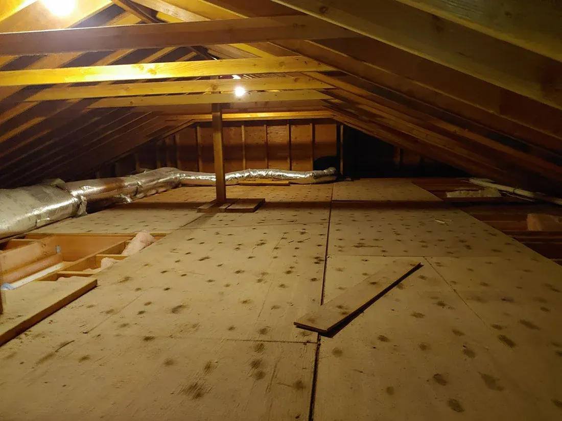 Attic mold inspection