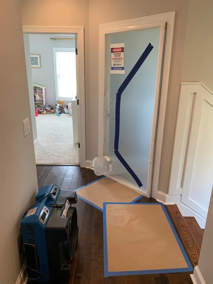 Attic Mold Remediation