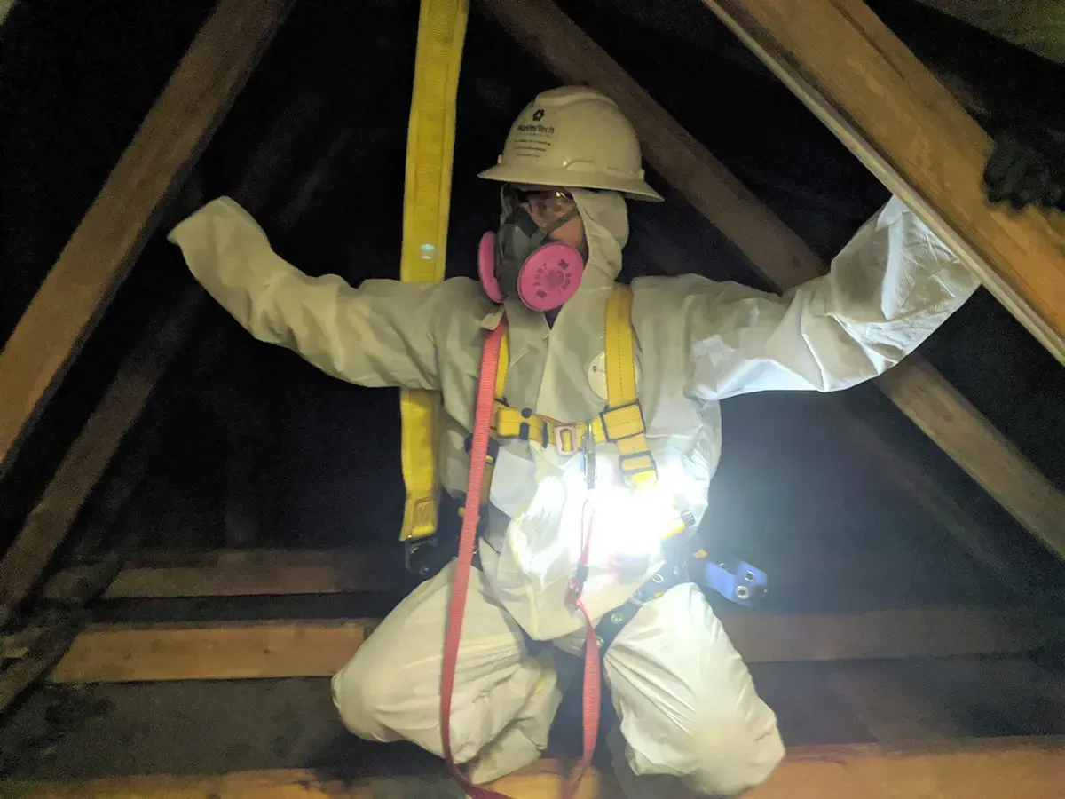 Attic Mold Remediation 2