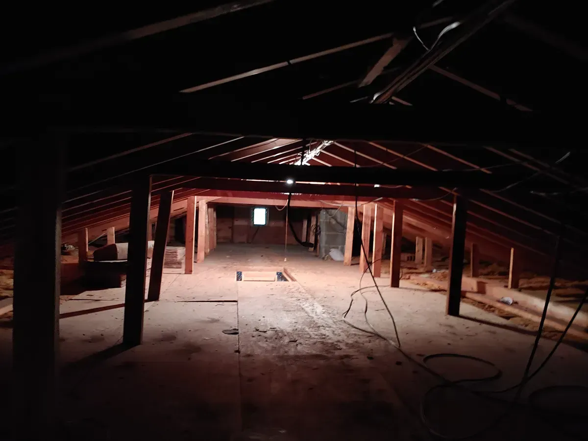 Attic mold remediation 3