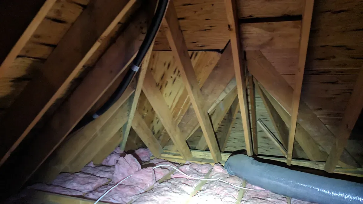 Attic mold remediation 4