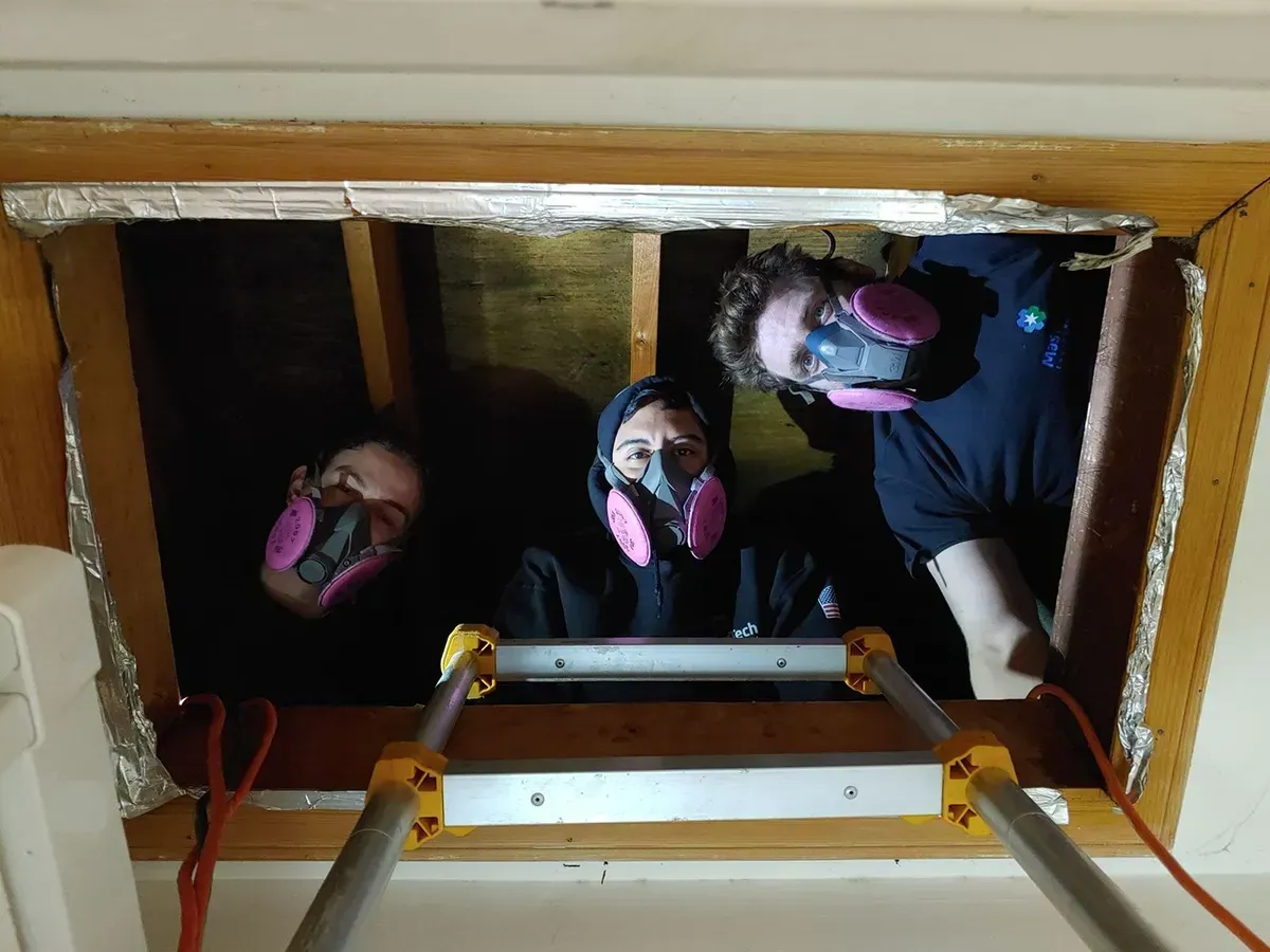 Attic Mold Remediation 2