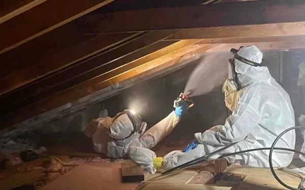 Attic mold remediation