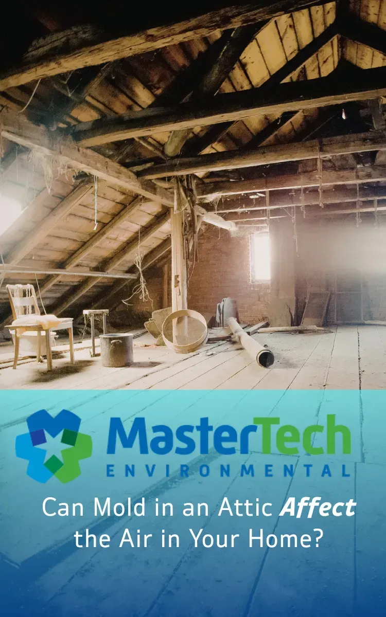 Attic mold remediation