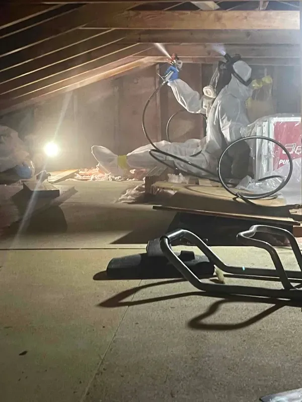 Attic mold remediation Myrtle Beach