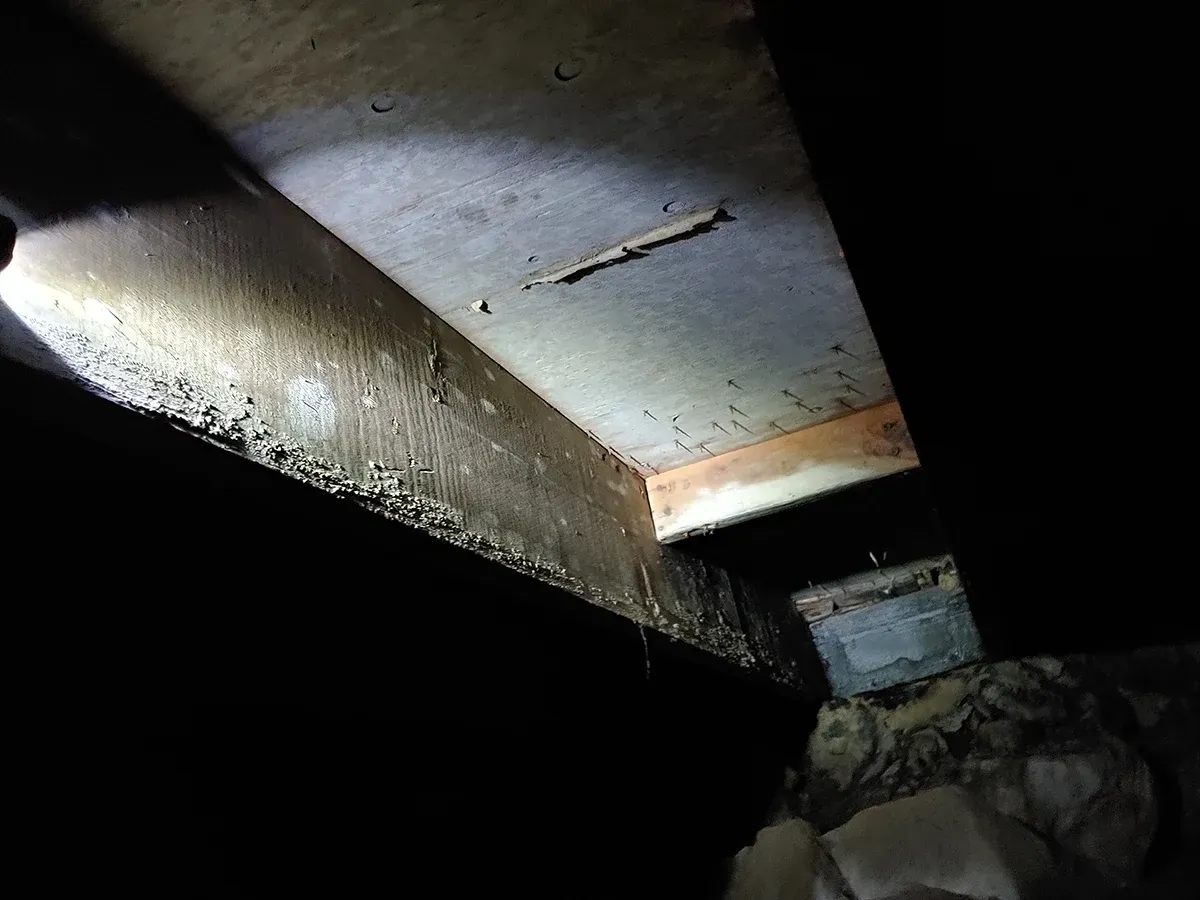 crawl space mold inspection