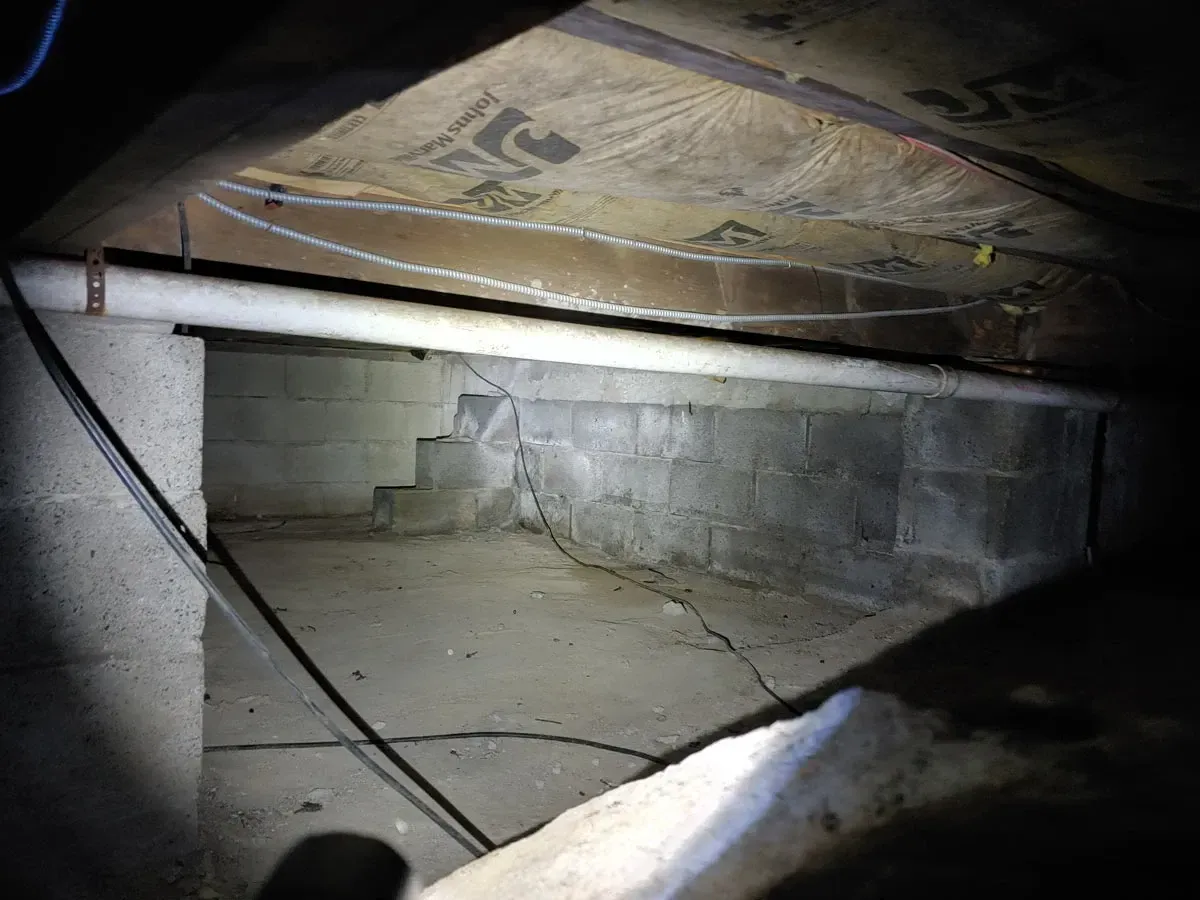 Crawlspace Mold Inspection