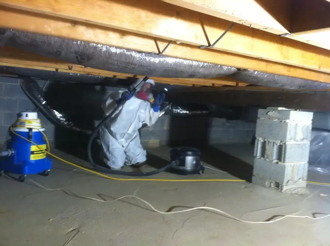 Crawlspace mold inspection