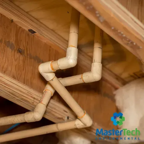 Crawlspace mold inspection