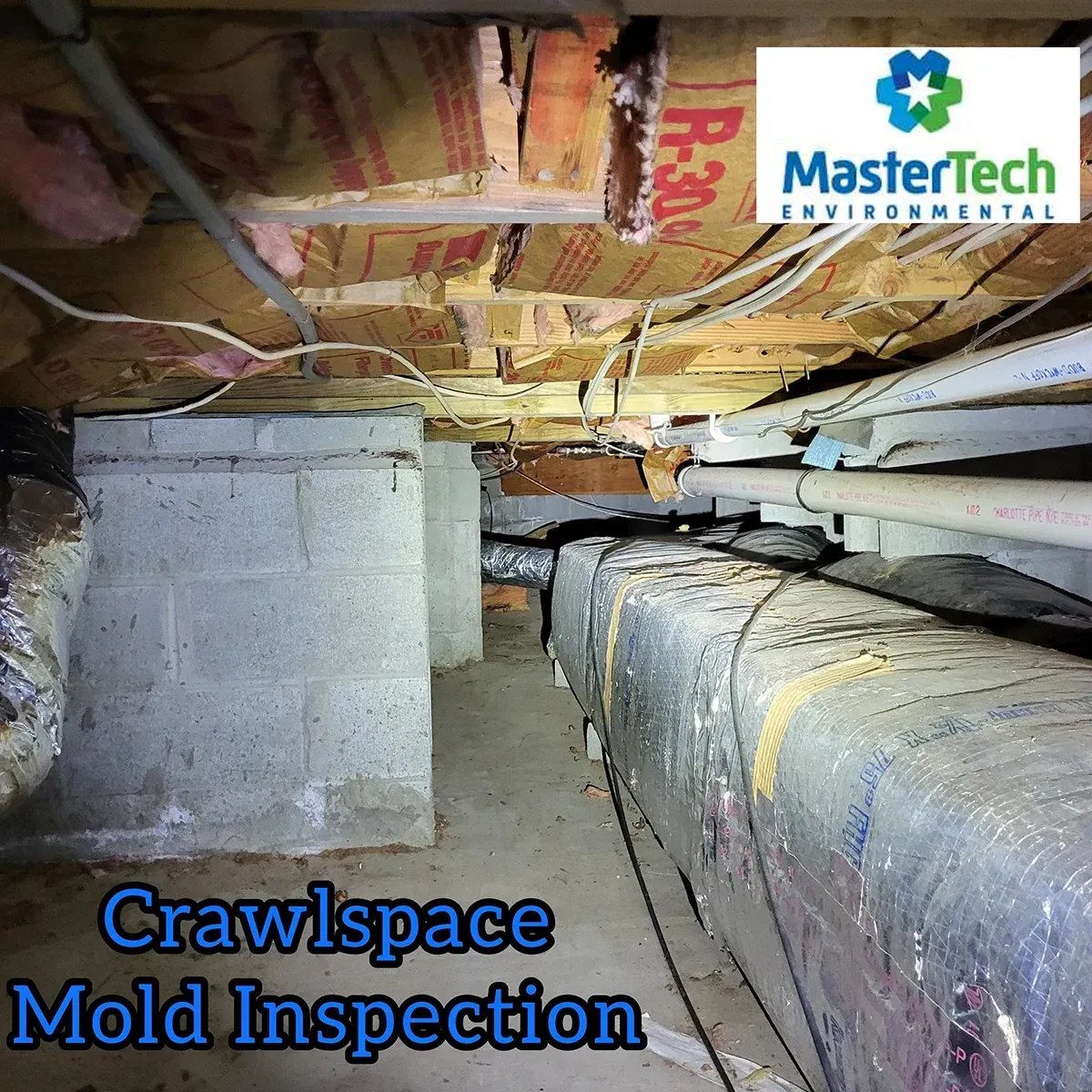 Crawlspace mold inspection