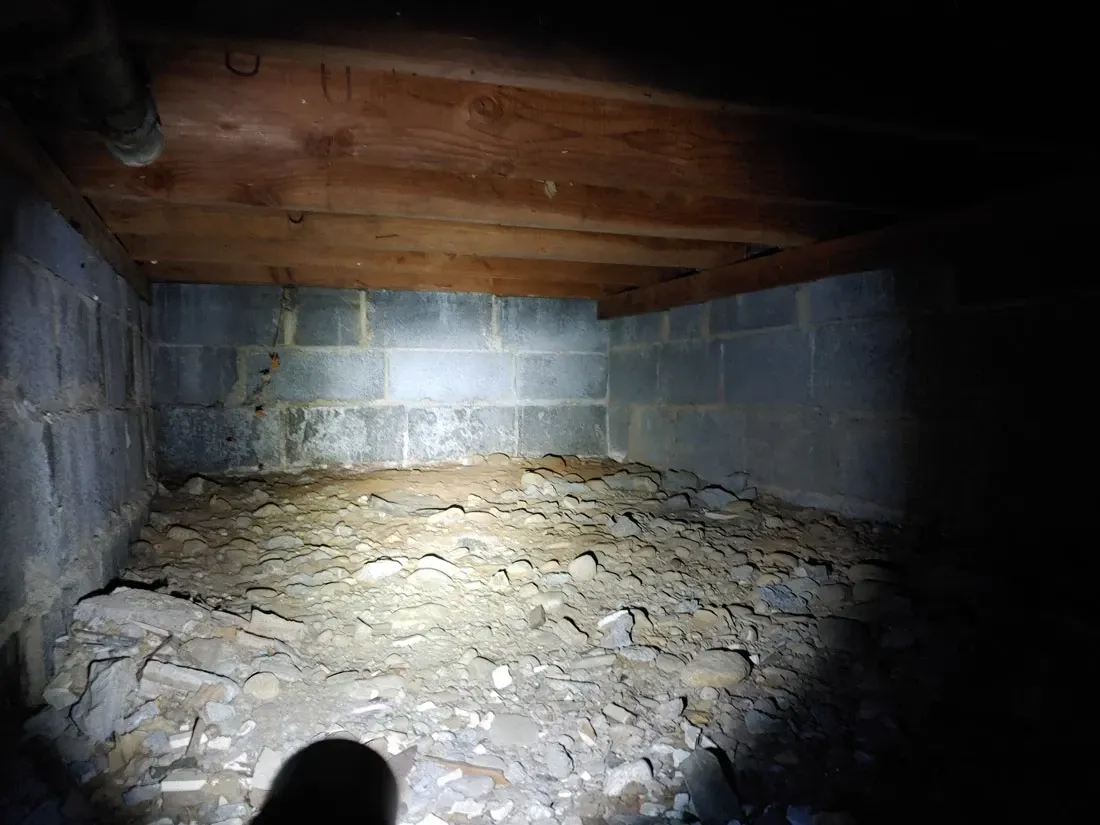 Crawlspace Mold Inspection