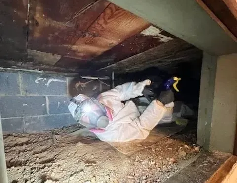 Crawlspace Mold Inspection Myrtle Beach, SC