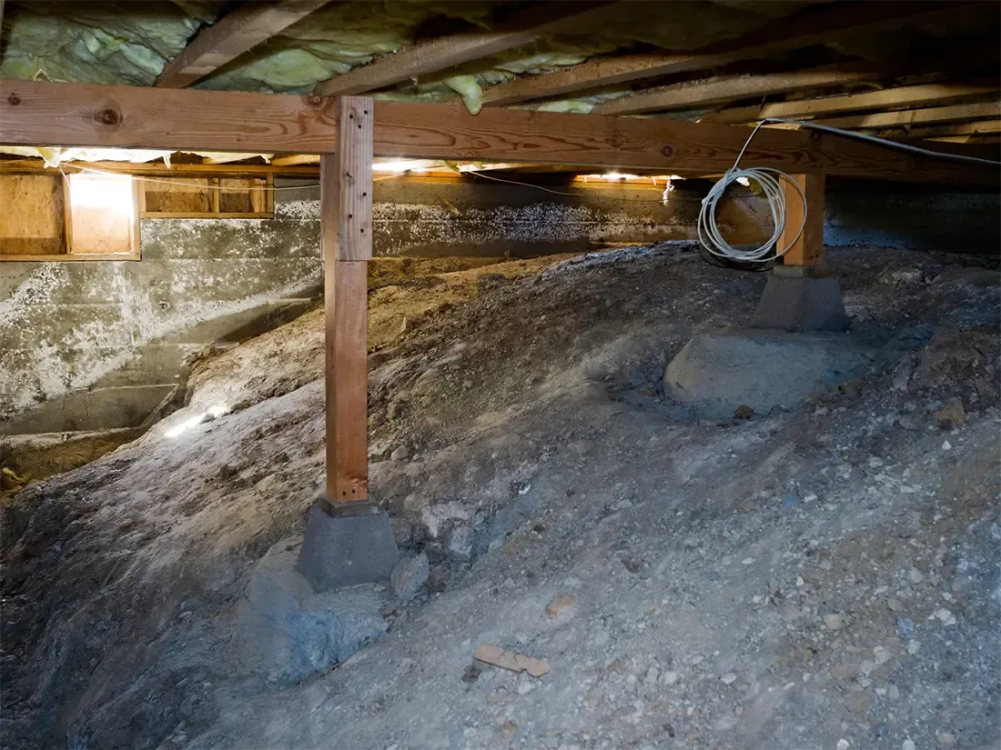 Crawl space mold remediation