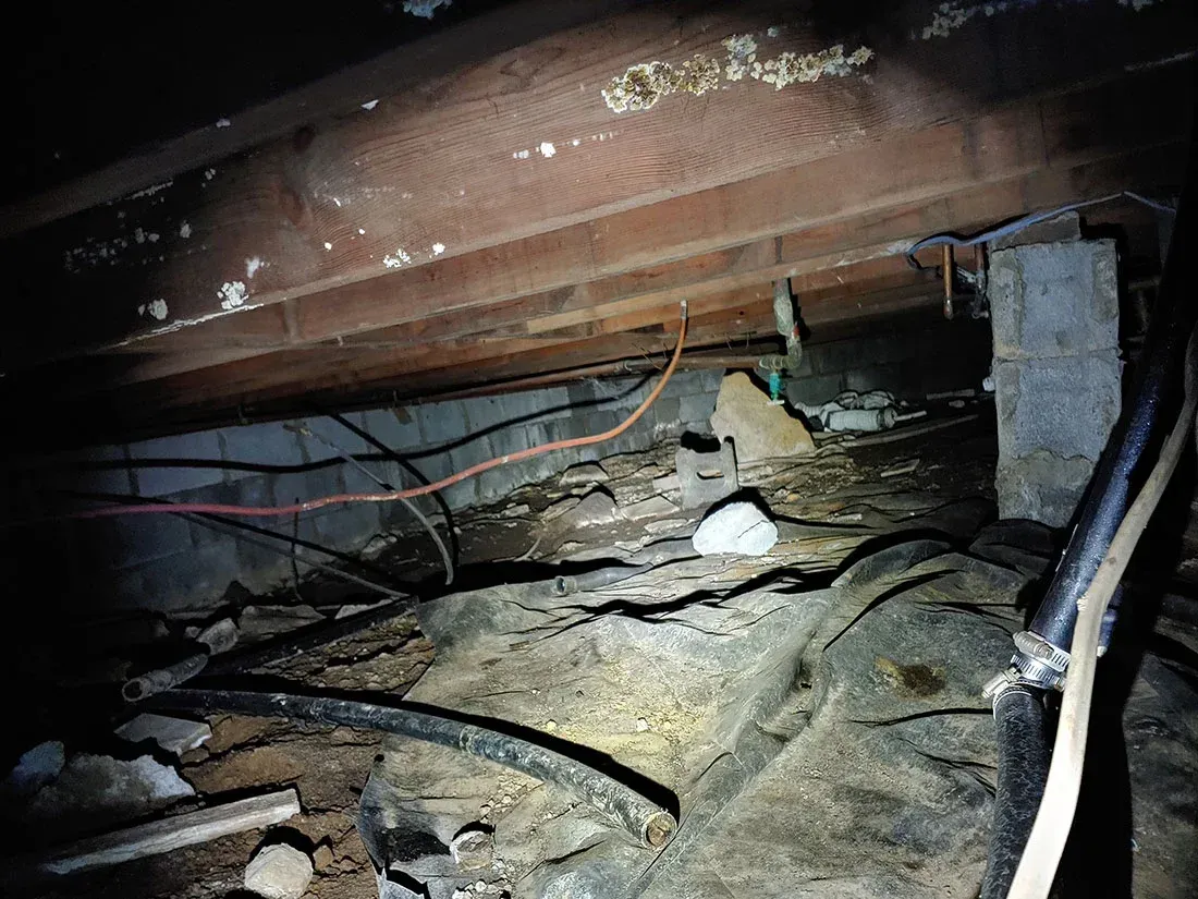 Crawlspace mold remediation