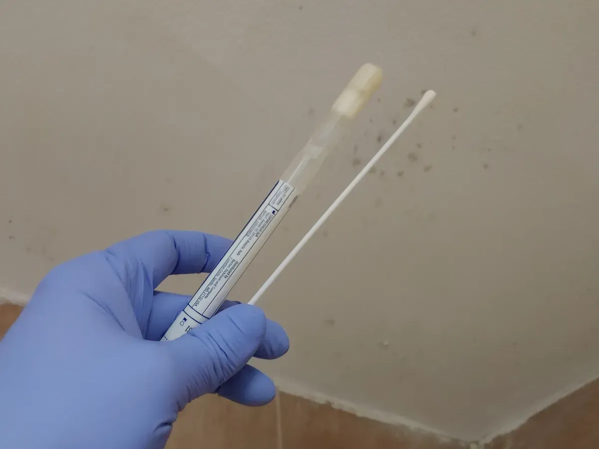 Mold inspection Myrtle Beach 3