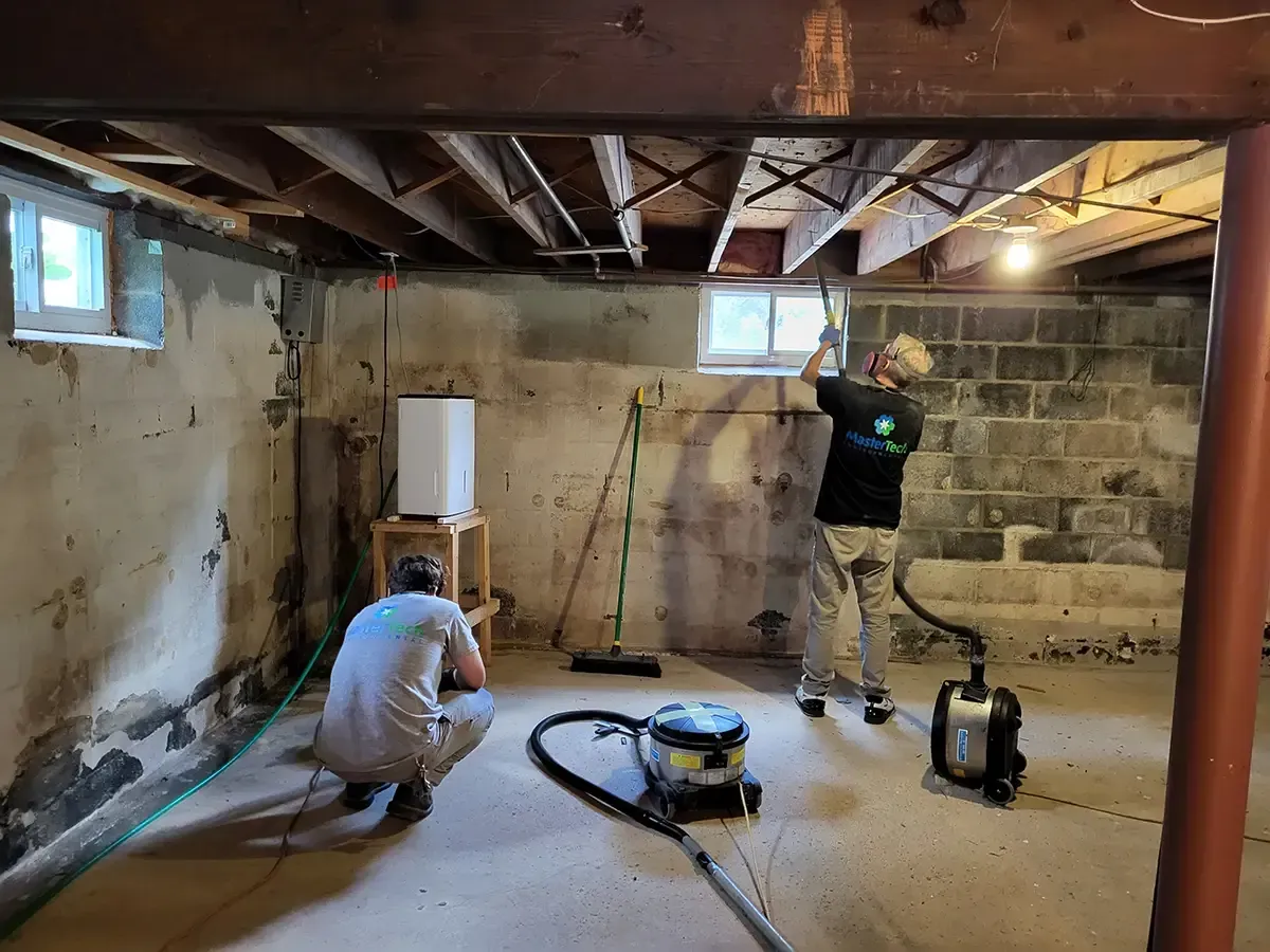 Mold Inspection Myrtle Beach
