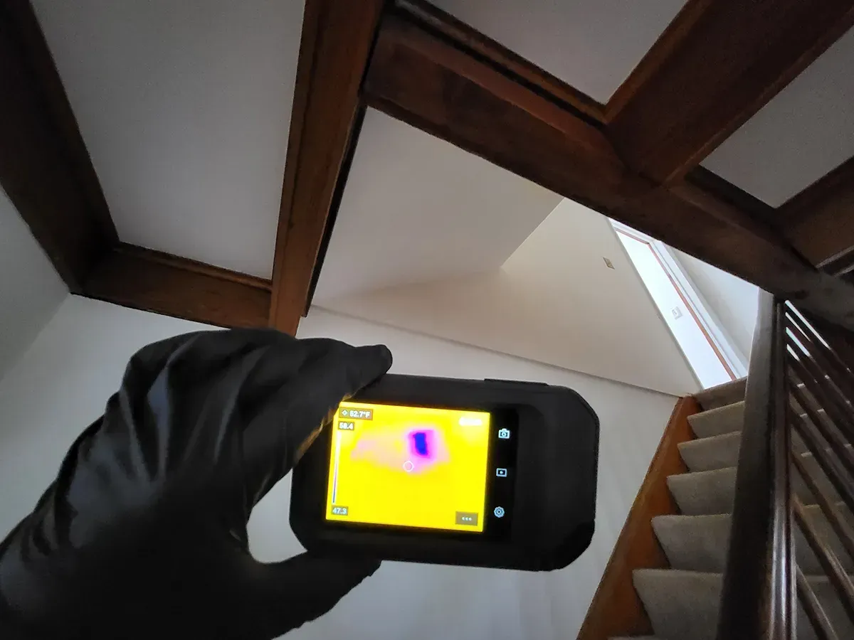 Mold Inspection Myrtle Beach