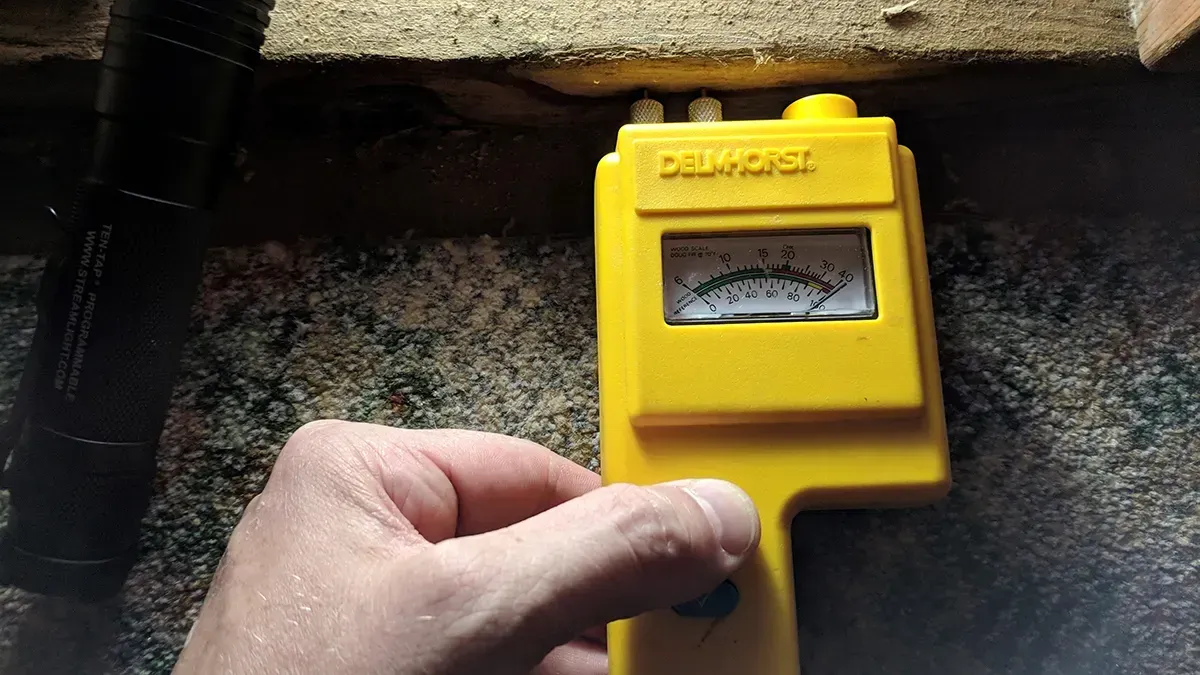 Mold inspection Myrtle Beach 4