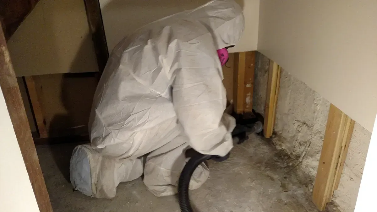 Mold inspection Myrtle Beach 5