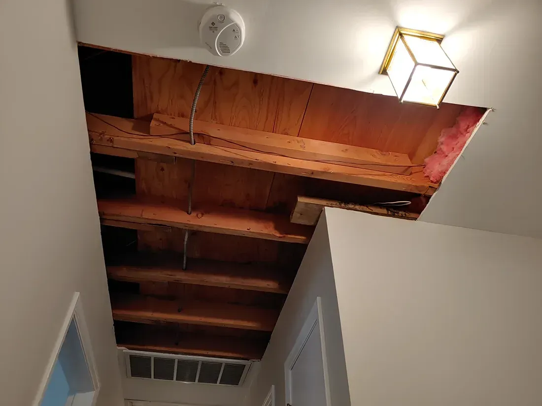 Mold inspection Myrtle Beach